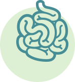 abdomen-icon