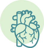 heart-icon