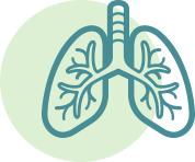 lungs-icon