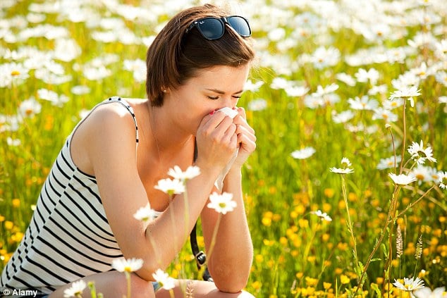 Allergies Lung Cancer And Mesothelioma Similar Symptoms Can Lead Both Lung Cancer And Mesothelioma Can Cause Symptoms Similar To Something More Benign Allergies Are The Immune System Response Exposure