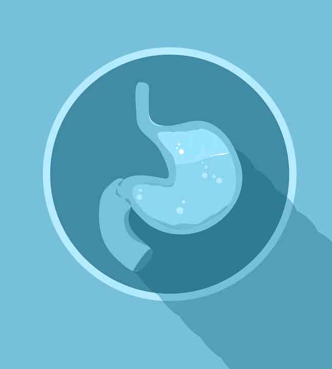 Stomach Icon