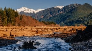 Swift River in Washington State