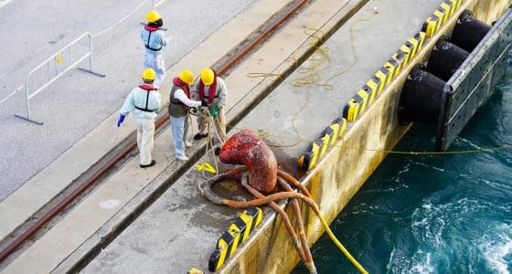 cruise ship workers