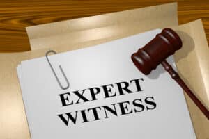 Expert witness