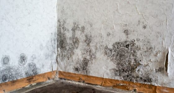 asbestos, lead, mold