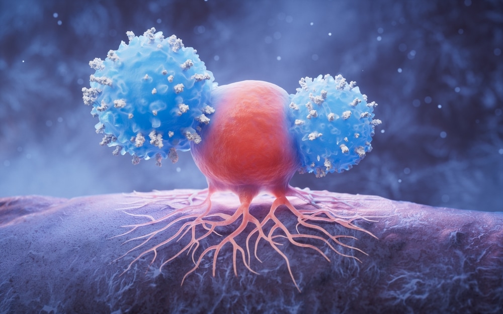 Why Some Mesothelioma Tumors Play Hide-and-Seek With Immune Therapy