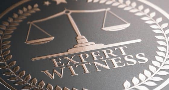 expert witness