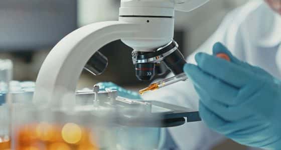 cell growth