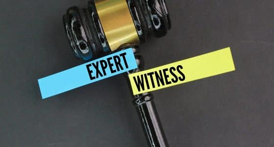 expert witness