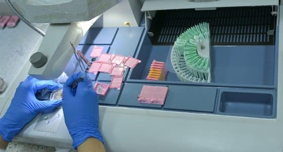 pathologist