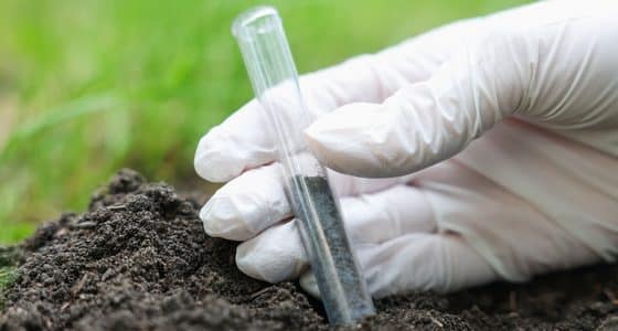 soil analysis